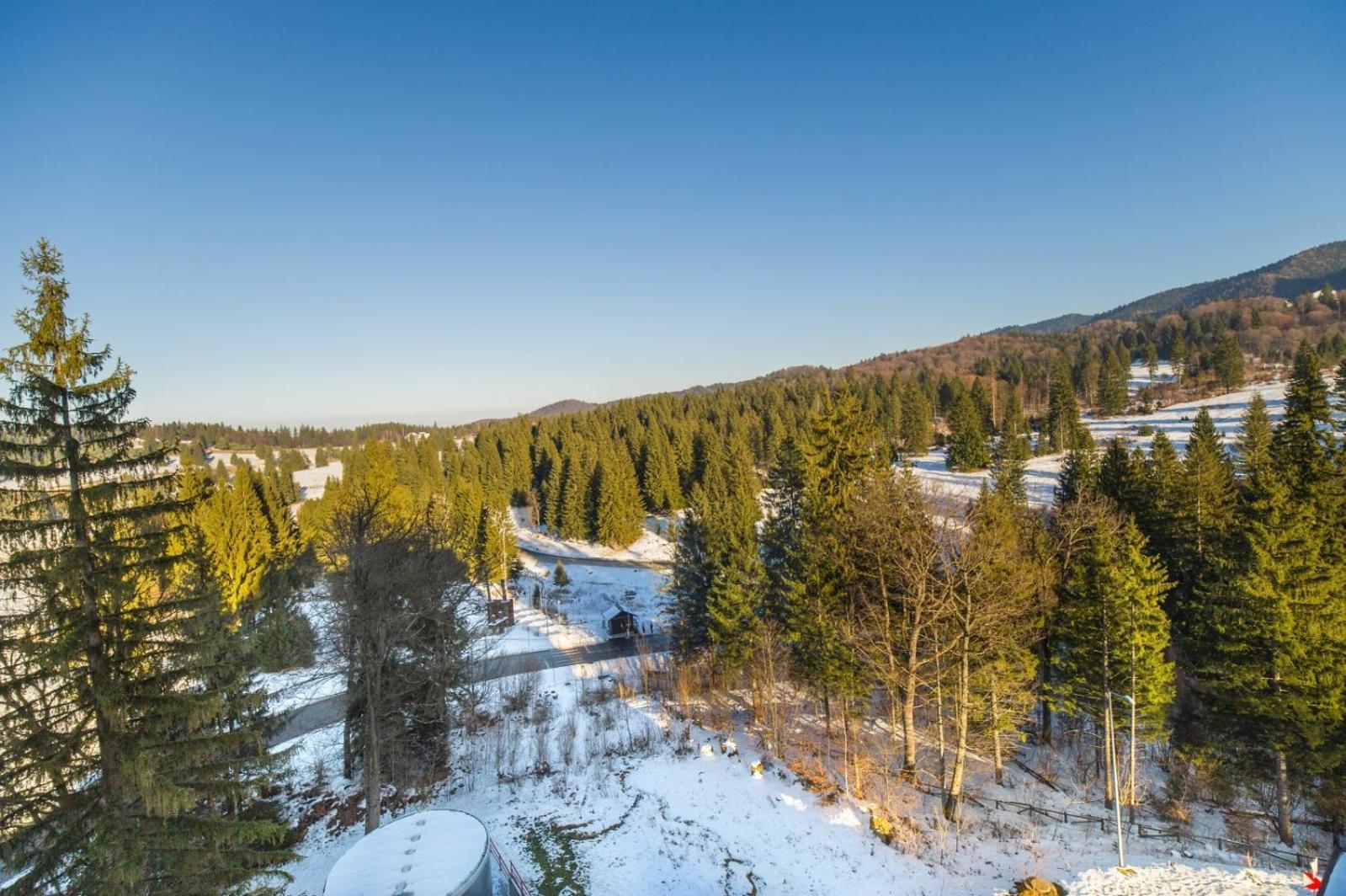 Loft Silver Mountain * Poiana Brasov